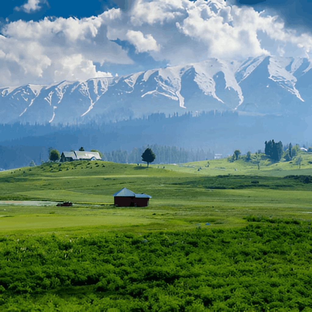 The Ultimate Kashmir Adventure Experience
